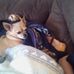 Penny Crites - Facebook