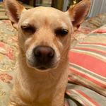 @pennycoates2020 - Instagram