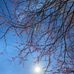 Penny Coffman - Facebook