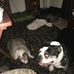 Penny Comer - Facebook