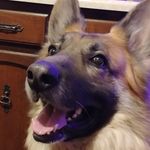 Penny Conner - @wv_blueangel - Instagram