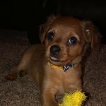 Penny Conner - @pennymconner - Instagram