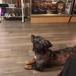 Penny Coons - @pennycoons - Instagram