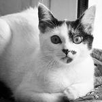 Penny_Cooper - @penny_cooper64 - Instagram