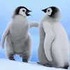 Penny cooper - @penny.cooper61 - TikTok