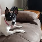 Penny Corbett - Facebook