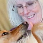 Penny Corbett - @penny.corbett - Instagram