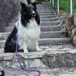Penny Corbett - @corbett2917 - Instagram