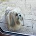 Penny Corbett - Facebook