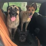 pia&core&penny - @pia_core_penny - Instagram