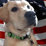 Penny Coyle - @pennycoyle3 - Instagram