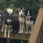 Penny Crisp Rader - @pennyrader - Instagram
