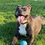 hi im penny - @pennysayscronch - Instagram