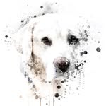 Penny Cronin - @pennycronin2447 - Instagram