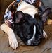 Penny Crouch - Facebook