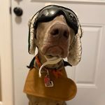 Sgt.Pepper’s Penny Lane Crouch - @weimarockstar - Instagram