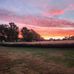 Penny Crowder - Facebook