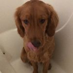 Pennycrowder - @pennycrowder - Instagram