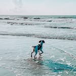 Penny Jean Dalton - @pennydthebrittany - Instagram