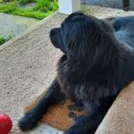 Penny Bevell Davidson - @cdnpenny_ - Instagram