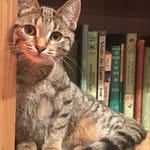 Penny Davidson - @campchamppj - Instagram