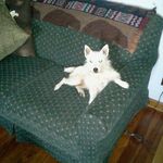 Penny McCoy Davidson - @pennymccoydavidson - Instagram