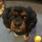 Penny Davison - @pennydavison12445 - Instagram