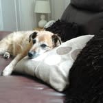Penny Davison - @penny.davison.142 - Instagram