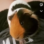 Penny Dodd - @starbucks_lovehim - Instagram