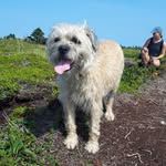 PennyDodge - @pennydodge1 - Instagram