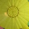 pennydodsonarabie - @pennydodsonarabie - TikTok