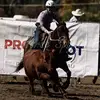 Penny - @doherty.penny - TikTok