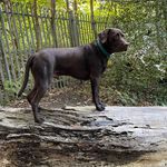 Penny Doherty - @penny.doherty.77 - Instagram