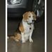 Penny Doty - Facebook
