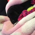 💖Penny Marie Doty💖 - @penny.marie.doty - Instagram