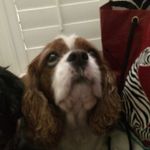 Penny Dowdell - @penny_dowdell1 - Instagram