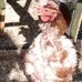 Penny Dowds - Facebook
