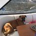 Penny M. Dufour - Facebook