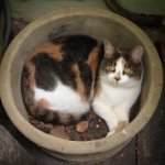 Penny Durham - @pennydee99 - Instagram