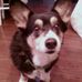Penny Dutton - Facebook