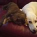 Penny Easterling - Facebook