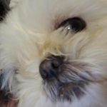 Penny Egan - @pennyegan1 - Instagram