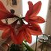 Penny Egan - Facebook
