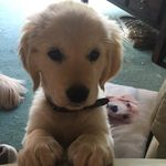 Penny Egan - @egan.penny - Instagram