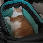 Penny Farris Shaw - @pshaw2019 - Instagram