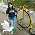 Ibay Penny Farthing - Facebook