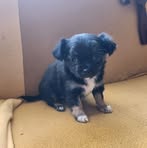 Fanny Penny - Facebook