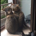 Penny&Fine - @misssmartmissstupid - Instagram
