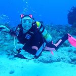 Penny Fleming - @mermom_worldwide - Instagram