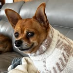 Penny Freeland - @penny.freeland - Instagram